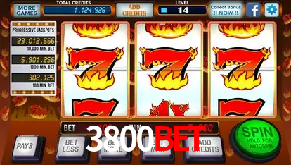 A Emoção da Loteria na 3800BET: Uma Chance de Mudança de Vida