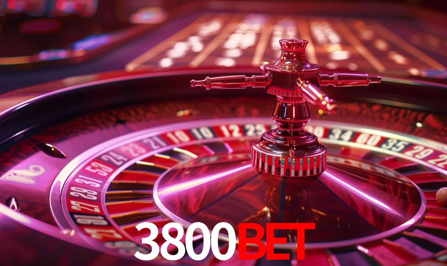 A Experiência Imersiva dos Cassinos Ao Vivo no 3800bet